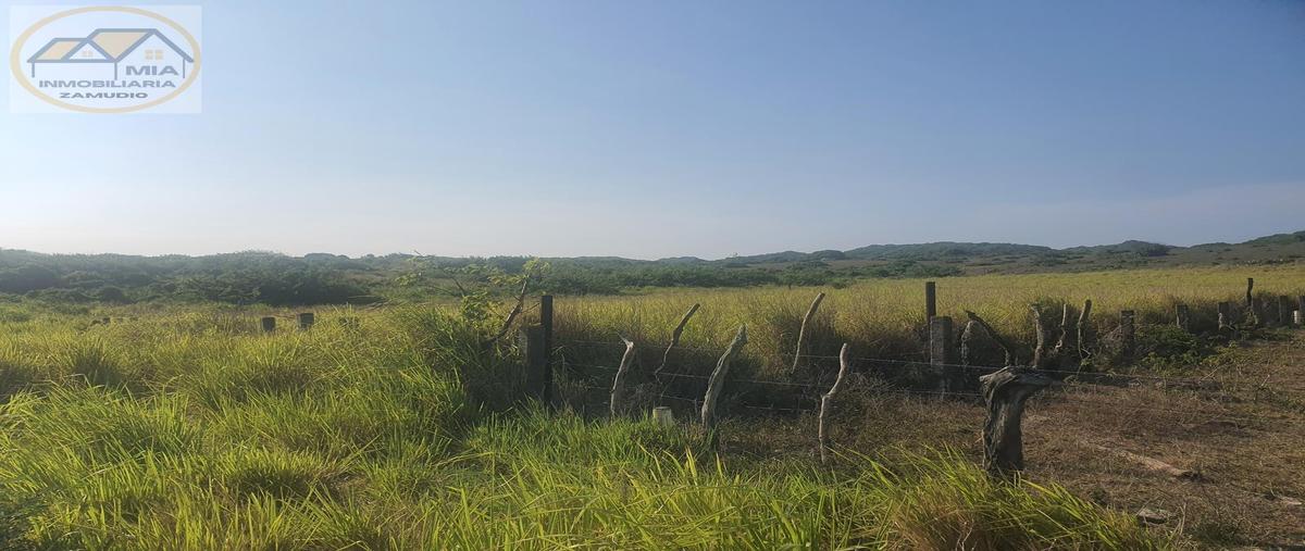 Foto de terreno habitacional en venta en  , las aneas, alvarado, veracruz de ignacio de la llave, 0 No. 04