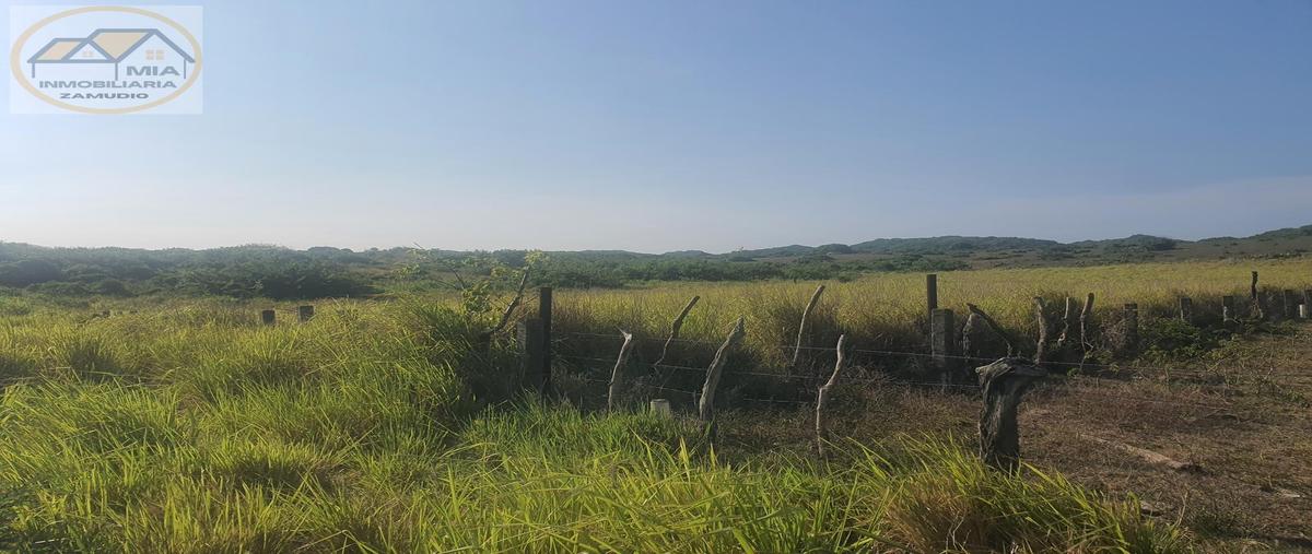 Foto de terreno habitacional en venta en  , las aneas, alvarado, veracruz de ignacio de la llave, 0 No. 05
