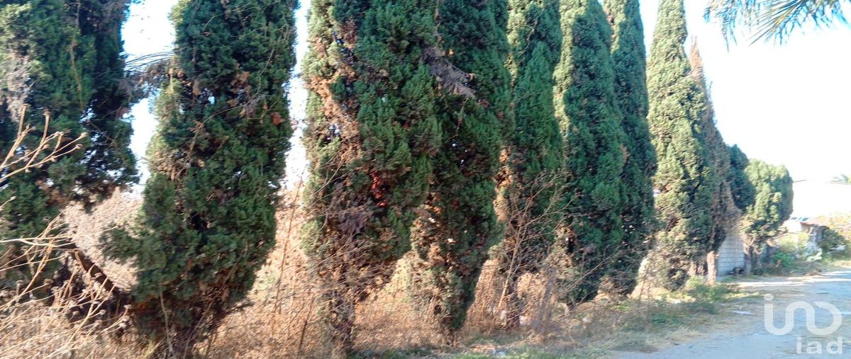 Foto de terreno habitacional en venta en las animas 112, san antonio cacalotepec, san andrés cholula, puebla, 30840884 No. 03