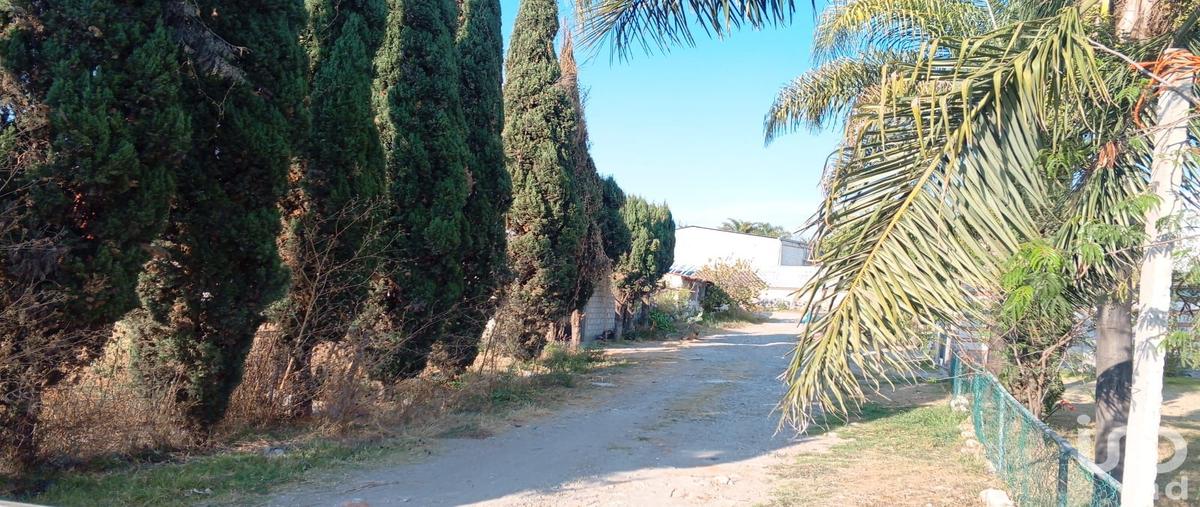 Foto de terreno habitacional en venta en las animas 112, san antonio cacalotepec, san andrés cholula, puebla, 30840884 No. 05