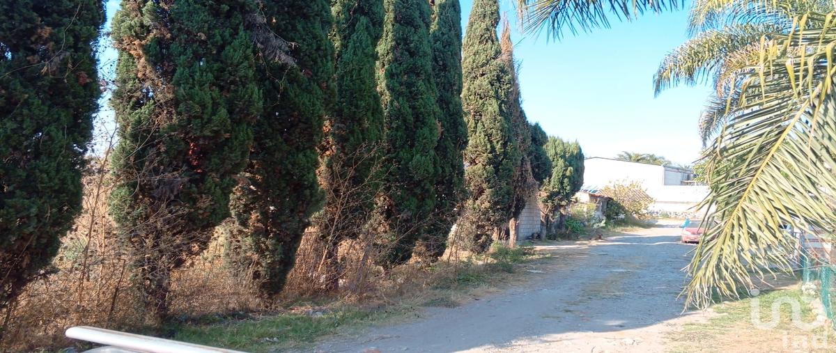 Foto de terreno habitacional en venta en las animas 89, san antonio cacalotepec, san andrÃ©s cholula, puebla, 30840884 No. 05