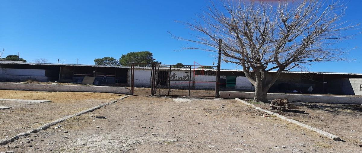 Foto de rancho en venta en  , las animas, chihuahua, chihuahua, 21517313 No. 04