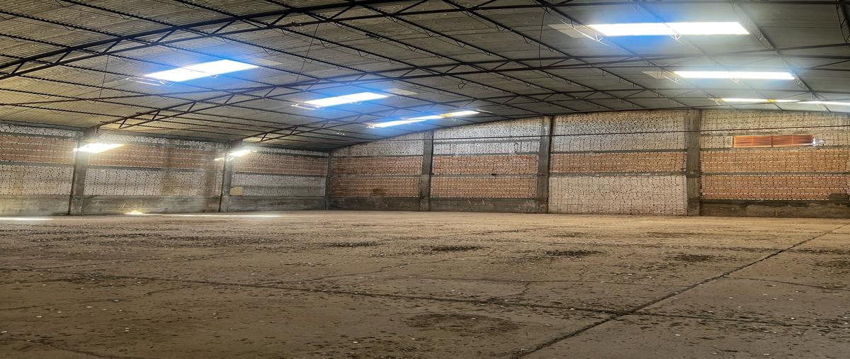 Foto de bodega en renta en  , las animas, chihuahua, chihuahua, 0 No. 04