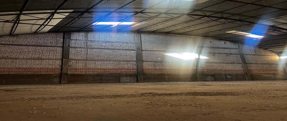 Foto de bodega en renta en  , las animas, chihuahua, chihuahua, 0 No. 05