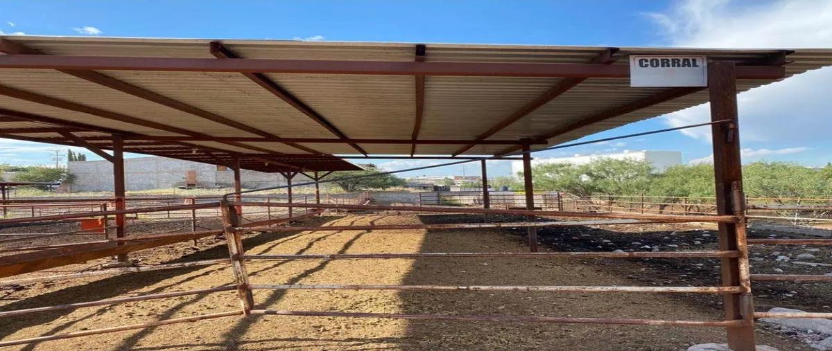 Foto de rancho en . , las animas, chihuahua, chihuahua, 0 foto 05 Foto de rancho en renta en . , las animas, chihuahua, chihuahua, 0 No. 05