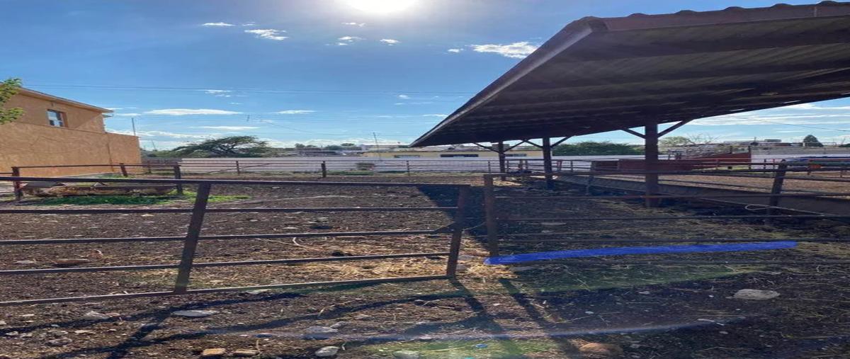 Foto de rancho en . , las animas, chihuahua, chihuahua, 0 foto 06 Foto de rancho en renta en . , las animas, chihuahua, chihuahua, 0 No. 06
