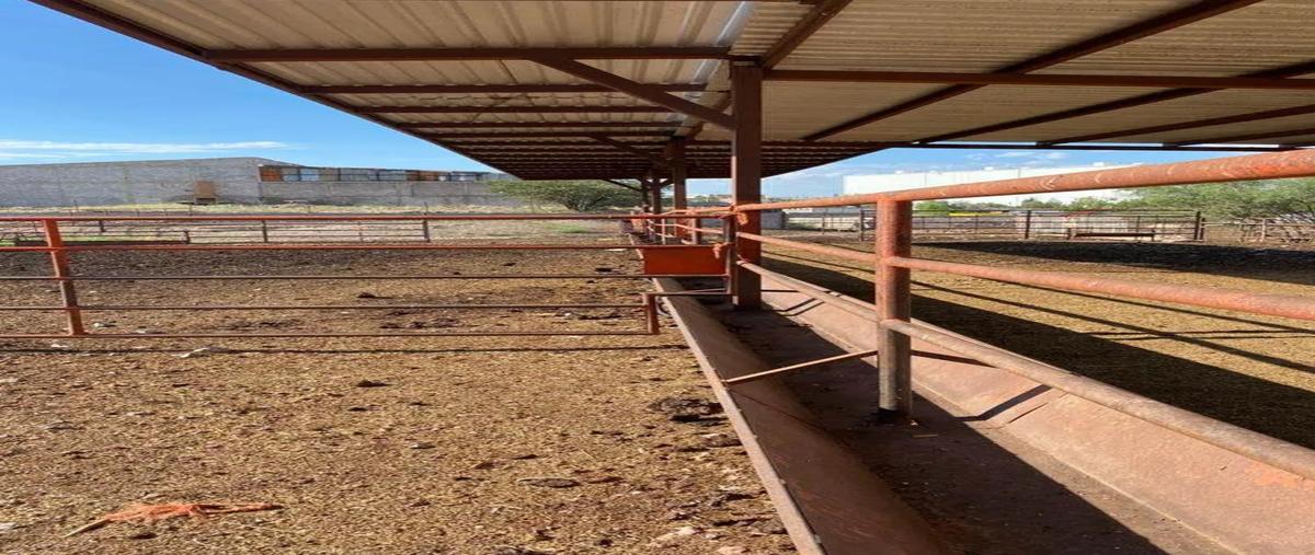 Foto de rancho en . , las animas, chihuahua, chihuahua, 0 foto 07 Foto de rancho en renta en . , las animas, chihuahua, chihuahua, 0 No. 07
