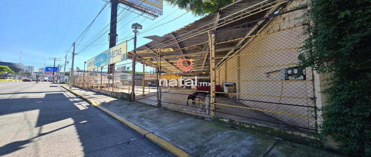 Foto de local en renta en  , las ánimas, puebla, puebla, 28947980 No. 03