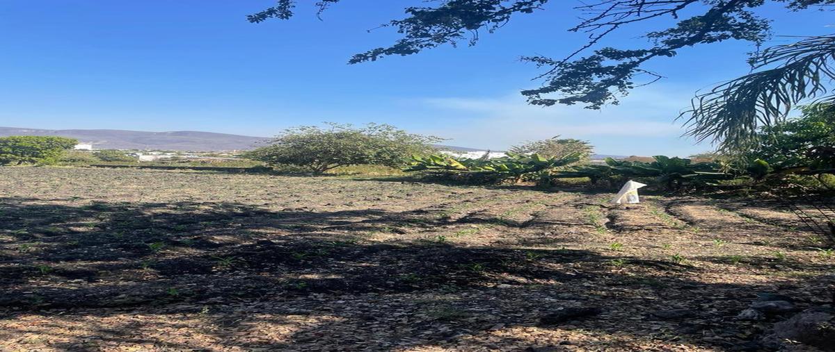 Foto de terreno habitacional en venta en  , las ánimas, temixco, morelos, 0 No. 01