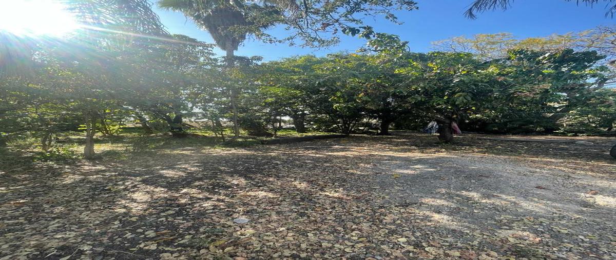 Foto de terreno habitacional en venta en  , las ánimas, temixco, morelos, 0 No. 02