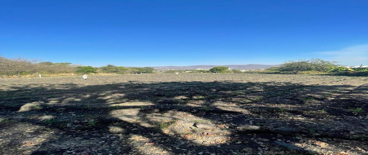 Foto de terreno habitacional en venta en  , las ánimas, temixco, morelos, 0 No. 04