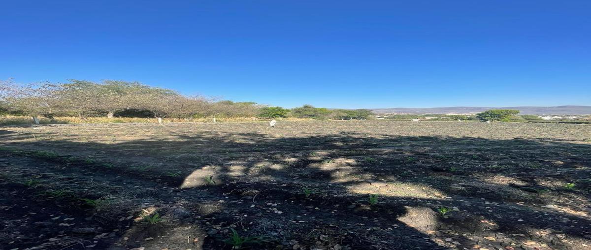 Foto de terreno habitacional en venta en  , las ánimas, temixco, morelos, 0 No. 05