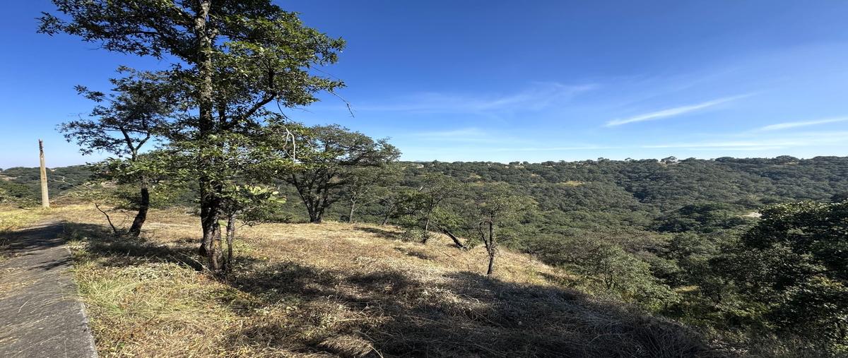 Foto de terreno habitacional en venta en las azucenas , los gutiérrez, villa del carbón, méxico, 30506542 No. 05