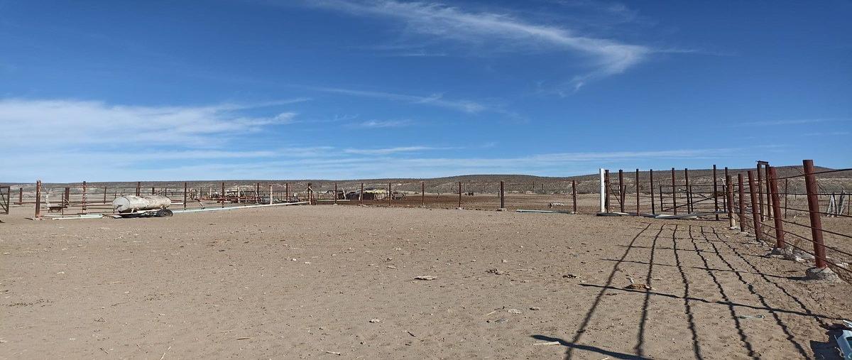 Foto de rancho en las barracas , san juanico, comondú, baja california sur, 0 foto 01 Foto de rancho en venta en las barracas , san juanico, comondú, baja california sur, 0 No. 01