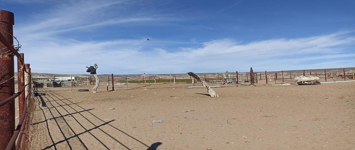 Foto de rancho en las barracas , san juanico, comondú, baja california sur, 0 foto 03 Foto de rancho en venta en las barracas , san juanico, comondú, baja california sur, 0 No. 03