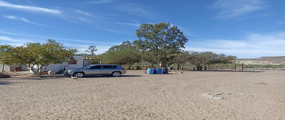 Foto de rancho en las barracas , san juanico, comondú, baja california sur, 0 foto 05 Foto de rancho en venta en las barracas , san juanico, comondú, baja california sur, 0 No. 05