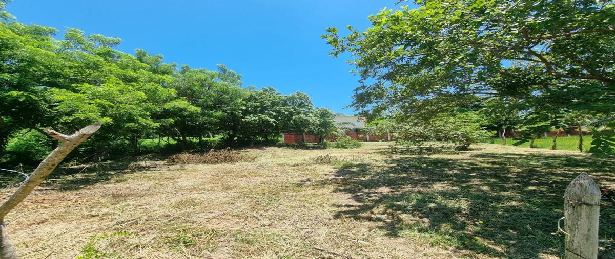 Foto de terreno habitacional en , las barrillas, coatzacoalcos, veracruz de ignacio de la llave, 27074196 foto 03 Foto de terreno habitacional en venta en , las barrillas, coatzacoalcos, veracruz de ignacio de la llave, 27074196 No. 03