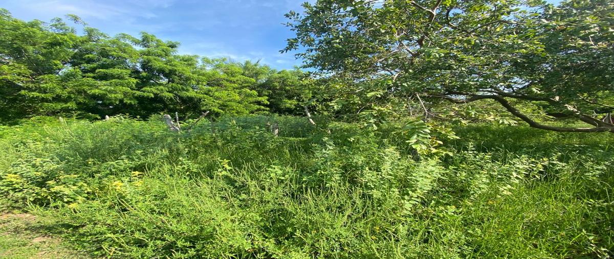 Foto de terreno habitacional en venta en  , las barrillas, coatzacoalcos, veracruz de ignacio de la llave, 27074202 No. 05