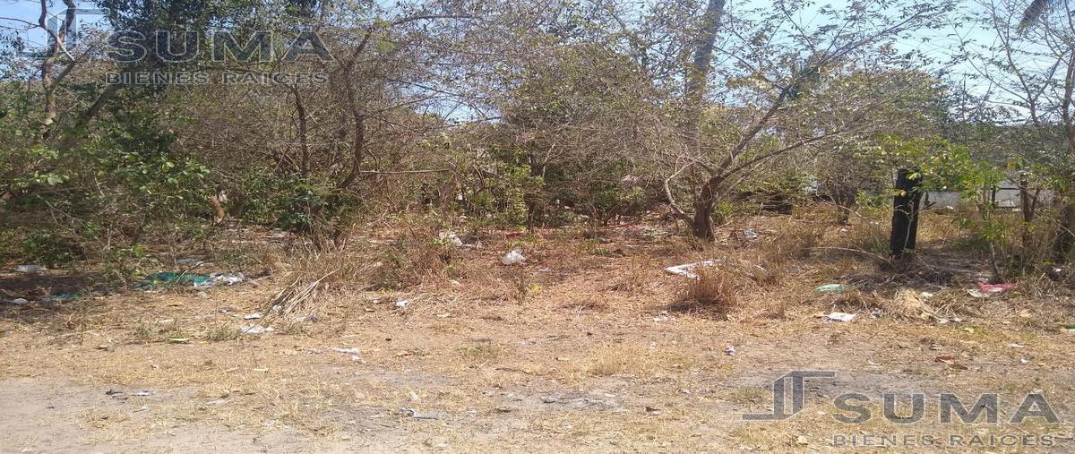 Foto de terreno habitacional en venta en  , las brisas, altamira, tamaulipas, 19811837 No. 03