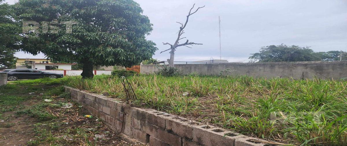Foto de terreno habitacional en venta en  , las brisas, altamira, tamaulipas, 0 No. 03