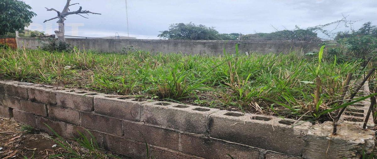 Foto de terreno habitacional en venta en  , las brisas, altamira, tamaulipas, 0 No. 05