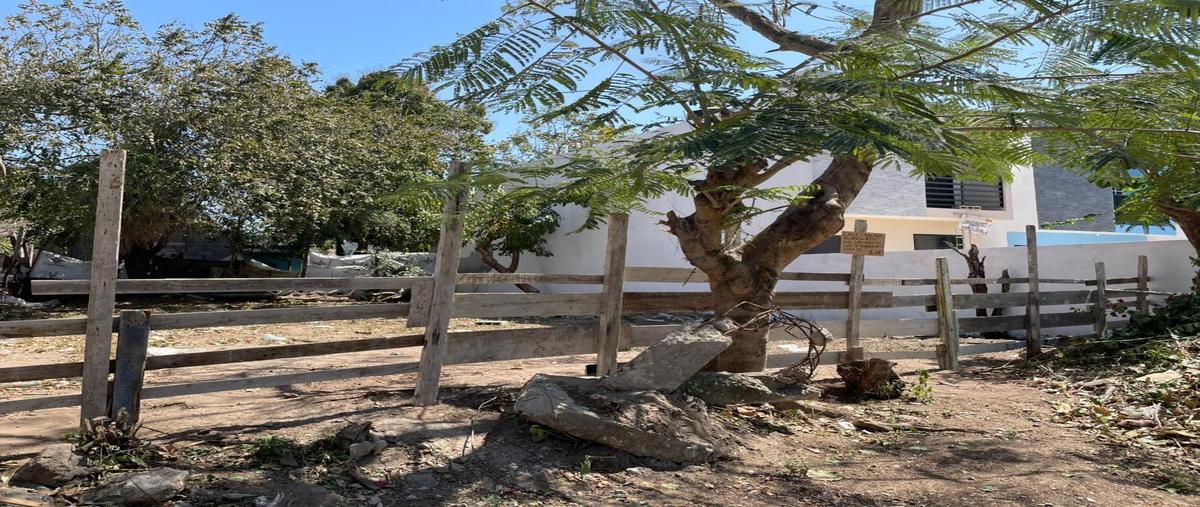 Foto de terreno habitacional en venta en  , las brisas, altamira, tamaulipas, 0 No. 04