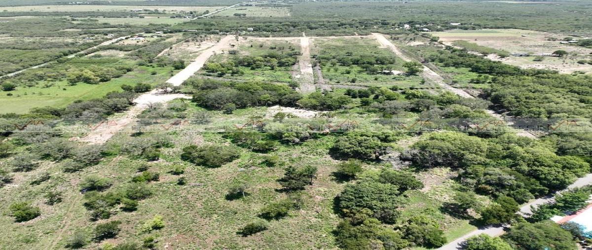 Foto de terreno habitacional en venta en las bugambilias , las bugambilias, linares, nuevo león, 0 No. 03
