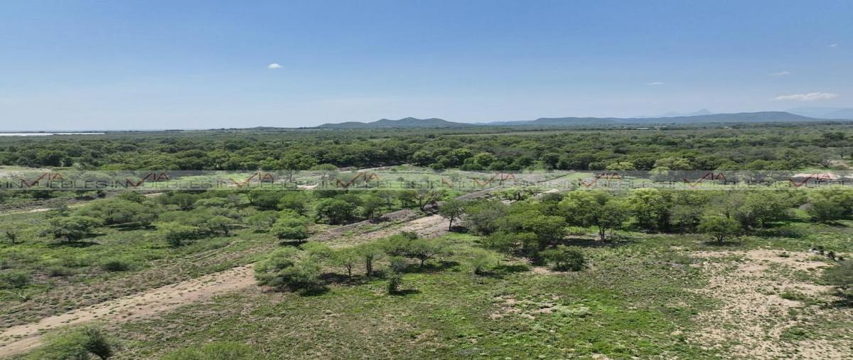 Foto de terreno habitacional en venta en las bugambilias , las bugambilias, linares, nuevo león, 0 No. 04