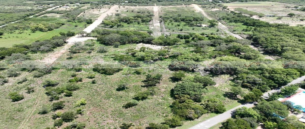 Foto de terreno habitacional en venta en las bugambilias , las bugambilias, linares, nuevo león, 0 No. 05