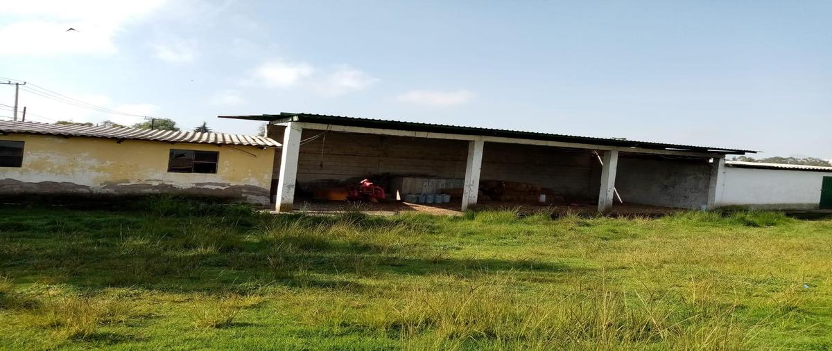 Foto de terreno habitacional en venta en  , las bugambilias, toluca, méxico, 0 No. 04
