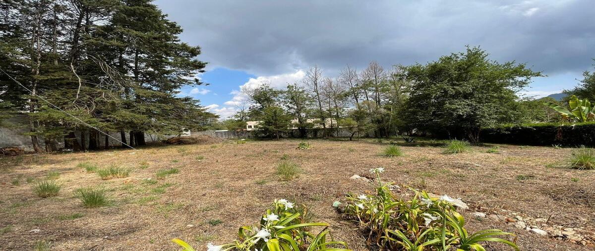 Foto de terreno habitacional en venta en las cabañas , los alcanfores, san cristóbal de las casas, chiapas, 0 No. 04