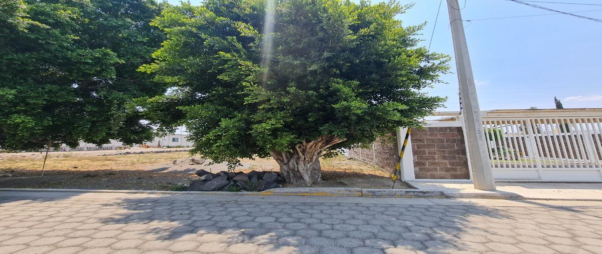 Foto de terreno habitacional en venta en  , las calandrias, atlixco, puebla, 0 No. 03