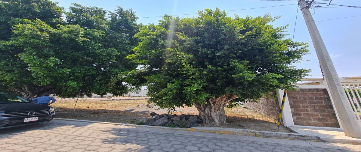 Foto de terreno habitacional en venta en  , las calandrias, atlixco, puebla, 0 No. 04
