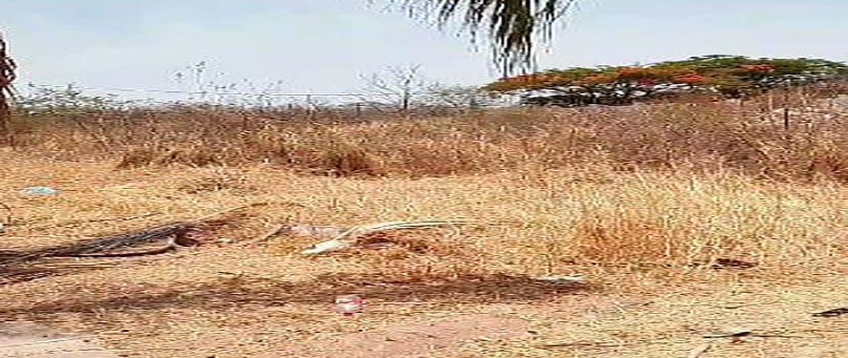 Foto de terreno habitacional en las cañadas , las cañadas, zapopan, jalisco, 0 foto 02 Foto de terreno habitacional en venta en las cañadas , las cañadas, zapopan, jalisco, 0 No. 02