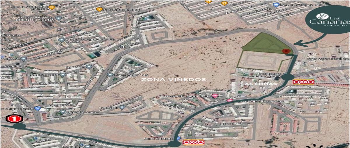 Foto de terreno habitacional en venta en las canarias ii , los viñedos, torreón, coahuila de zaragoza, 27018333 No. 03
