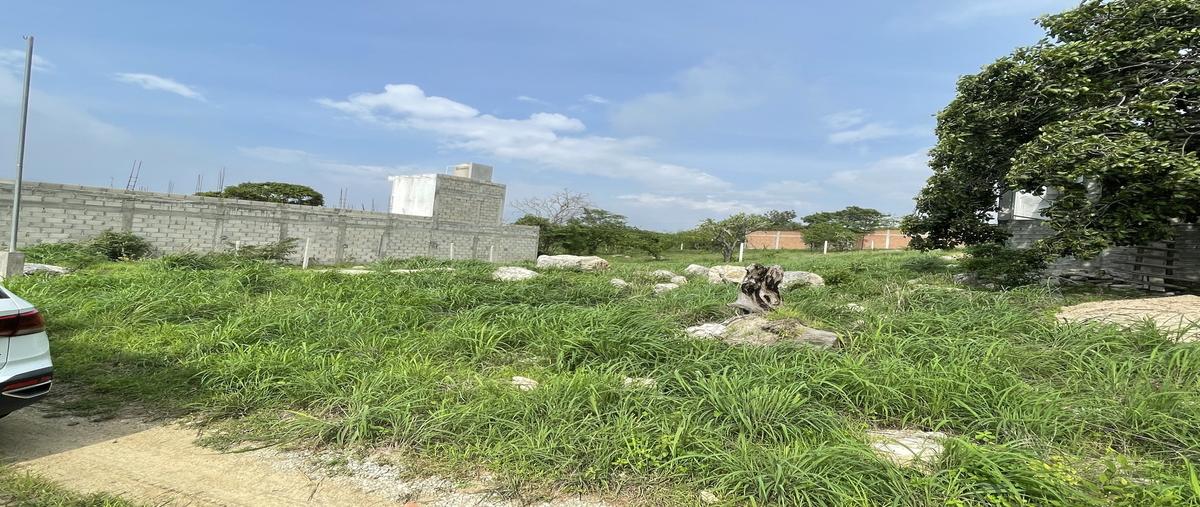 Foto de terreno habitacional en venta en las canoitas , berriozabal centro, berriozábal, chiapas, 30014631 No. 03