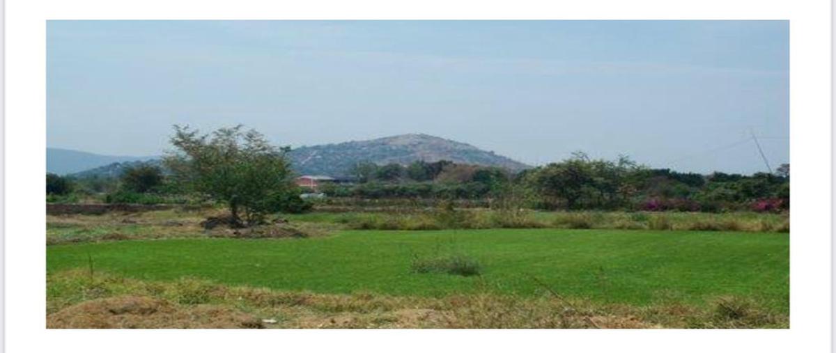 Foto de terreno habitacional en venta en  , las canteras, jiutepec, morelos, 0 No. 05