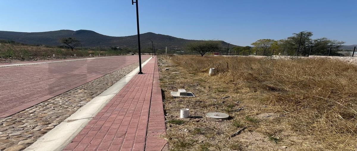 Foto de terreno habitacional en venta en  , las charcas (jesús martínez músico), comonfort, guanajuato, 0 No. 05