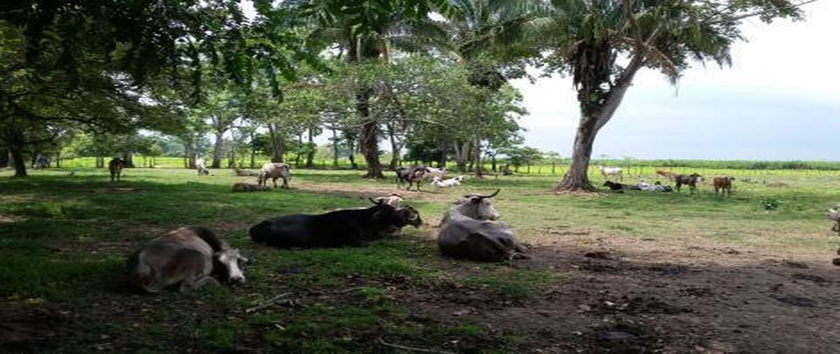 Foto de terreno habitacional en venta en  , las choapas centro, las choapas, veracruz de ignacio de la llave, 30334666 No. 02