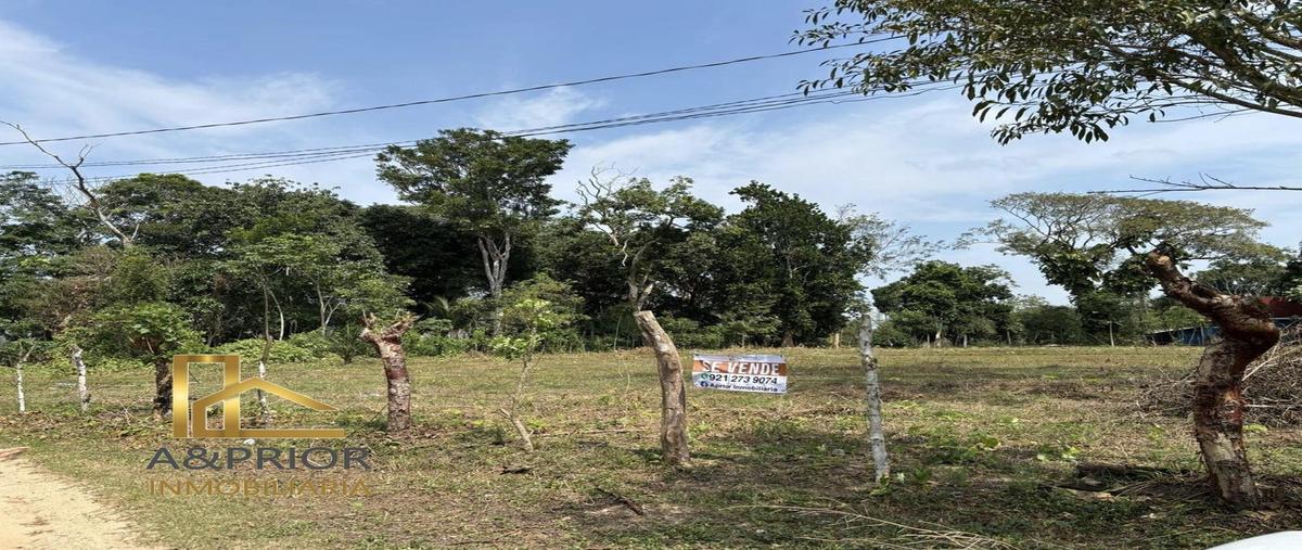 Foto de terreno habitacional en venta en  , las choapas, las choapas, veracruz de ignacio de la llave, 0 No. 03