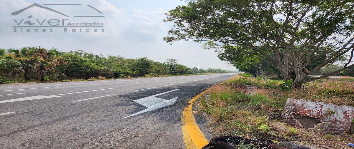 Foto de terreno habitacional en venta en  , las conchas, tierra blanca, veracruz de ignacio de la llave, 7295722 No. 03