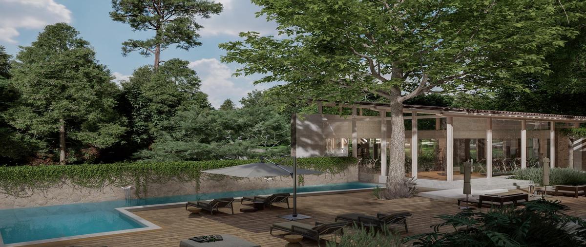 Foto de terreno habitacional en venta en  , las cristalinas, santiago, nuevo león, 0 No. 04