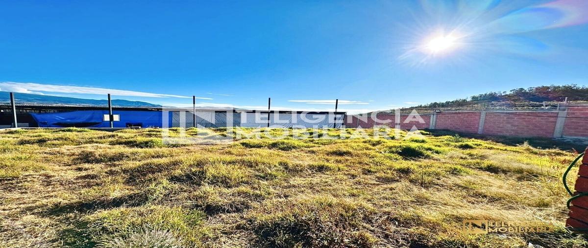 Foto de rancho en las cruces tepetlaoxtoc de hidalgoestado de méxico , la concepción jolalpan, tepetlaoxtoc, méxico, 0 foto 02 Foto de rancho en venta en las cruces tepetlaoxtoc de hidalgoestado de méxico , la concepción jolalpan, tepetlaoxtoc, méxico, 0 No. 02