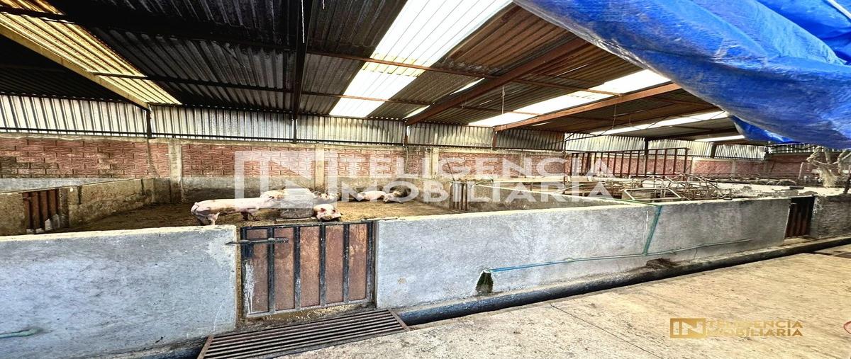 Foto de rancho en las cruces tepetlaoxtoc de hidalgoestado de méxico , la concepción jolalpan, tepetlaoxtoc, méxico, 0 foto 05 Foto de rancho en venta en las cruces tepetlaoxtoc de hidalgoestado de méxico , la concepción jolalpan, tepetlaoxtoc, méxico, 0 No. 05