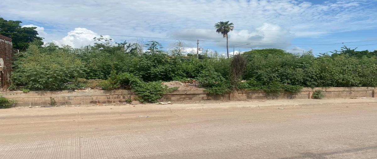 Foto de terreno habitacional en venta en  , las cucas, culiacán, sinaloa, 30216450 No. 05