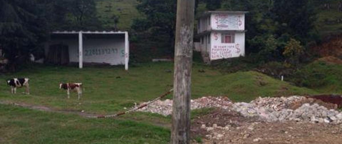 Foto de terreno habitacional en venta en  , las cumbres, xalapa, veracruz de ignacio de la llave, 0 No. 02