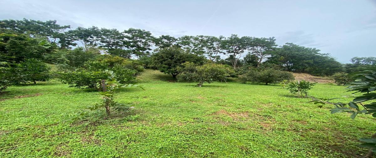 Foto de casa en venta en  , las delicias, tepic, nayarit, 31595929 No. 04