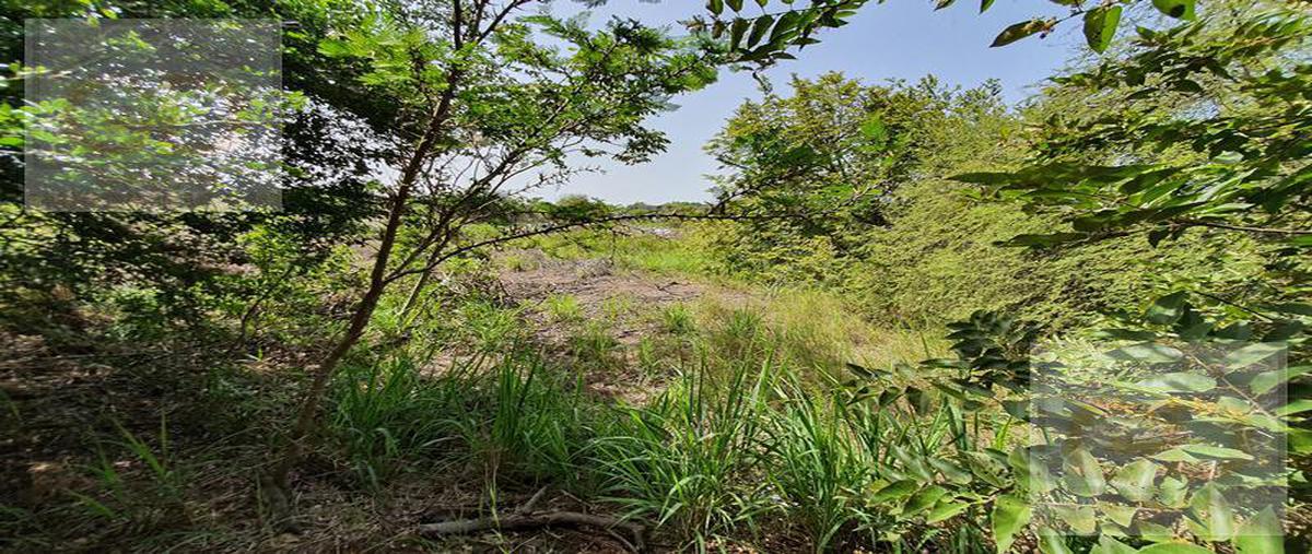 Foto de terreno habitacional en venta en  , las dunas, ciudad madero, tamaulipas, 0 No. 04