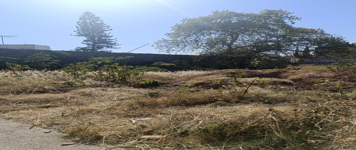 Foto de terreno habitacional en , las fincas, jiutepec, morelos, 27944961 foto 04 Foto de terreno habitacional en venta en , las fincas, jiutepec, morelos, 27944961 No. 04