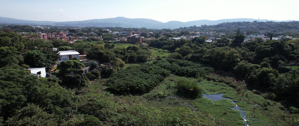 Foto de terreno habitacional en venta en  , las fincas, jiutepec, morelos, 0 No. 05